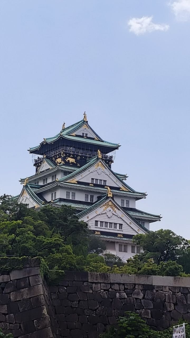 Vista del Castillo de Osaka sobre la muralla
