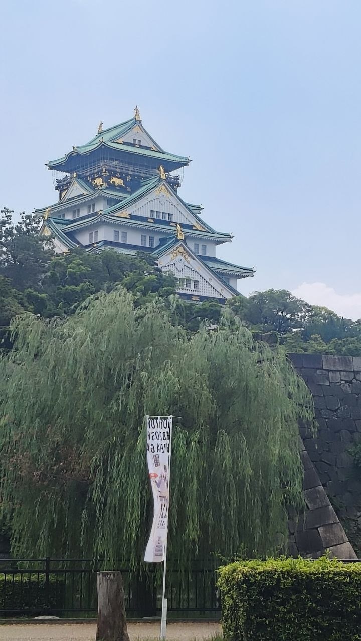 Castillo de Osaka visto tras los arboles y la muralla