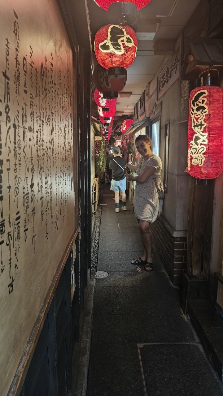Callejon estrecho con faroles rojos en Osaka