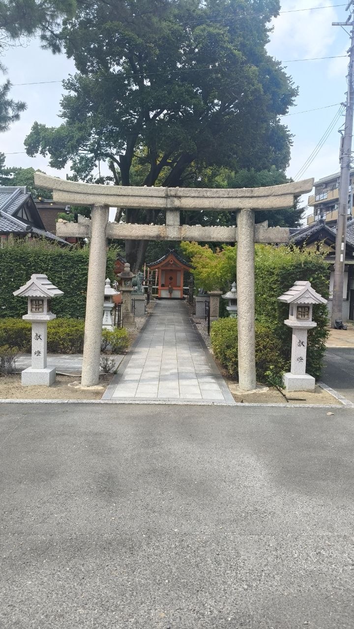 Torii de piedra en un camino de Sumiyoshi Taisha