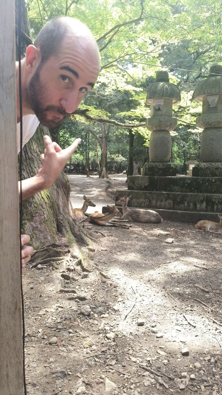 Luis asomado junto a faroles de piedra y ciervos descansando en Nara
