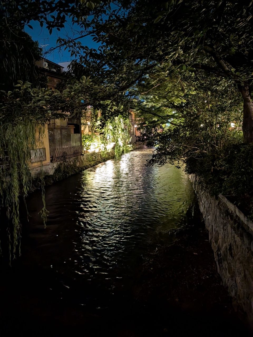 Canal de Gion iluminado de noche entre vegetacion y casas tradicionales