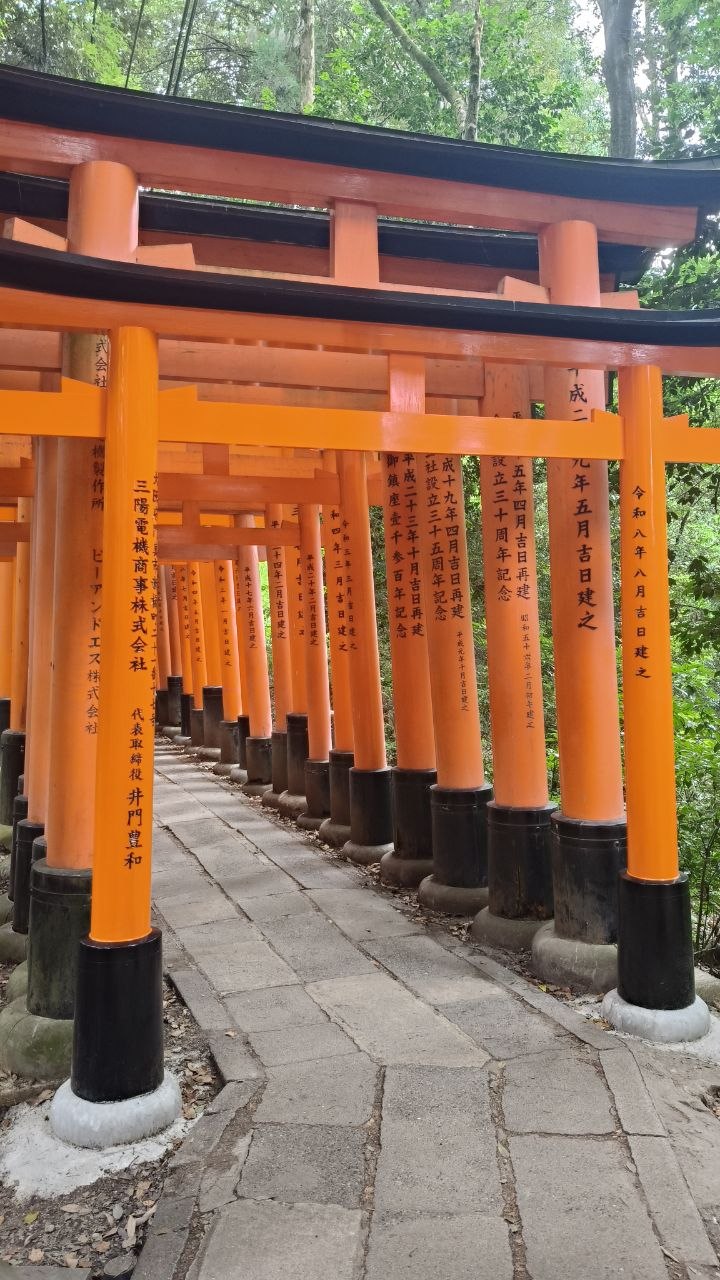 Camino de torii rojos subiendo por Fushimi-Inari Taisha