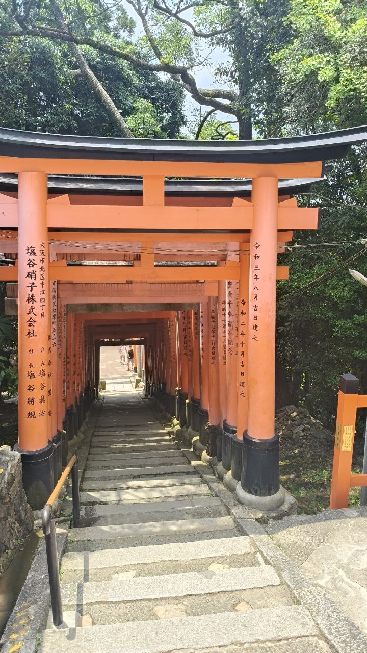 Escaleras descendiendo bajo torii rojos en Fushimi-Inari Taisha