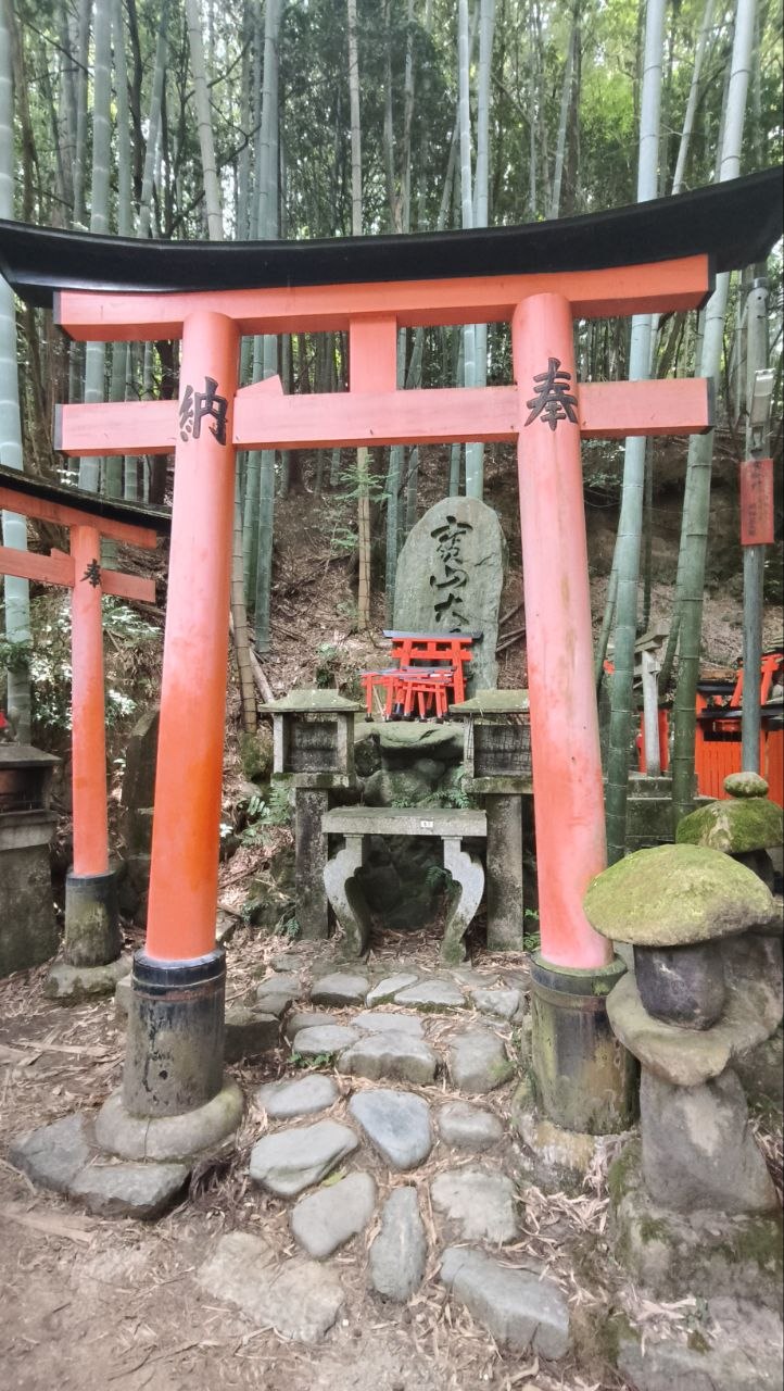 Torii rojo ante un pequeno altar de piedra rodeado de bambu en Fushimi-Inari