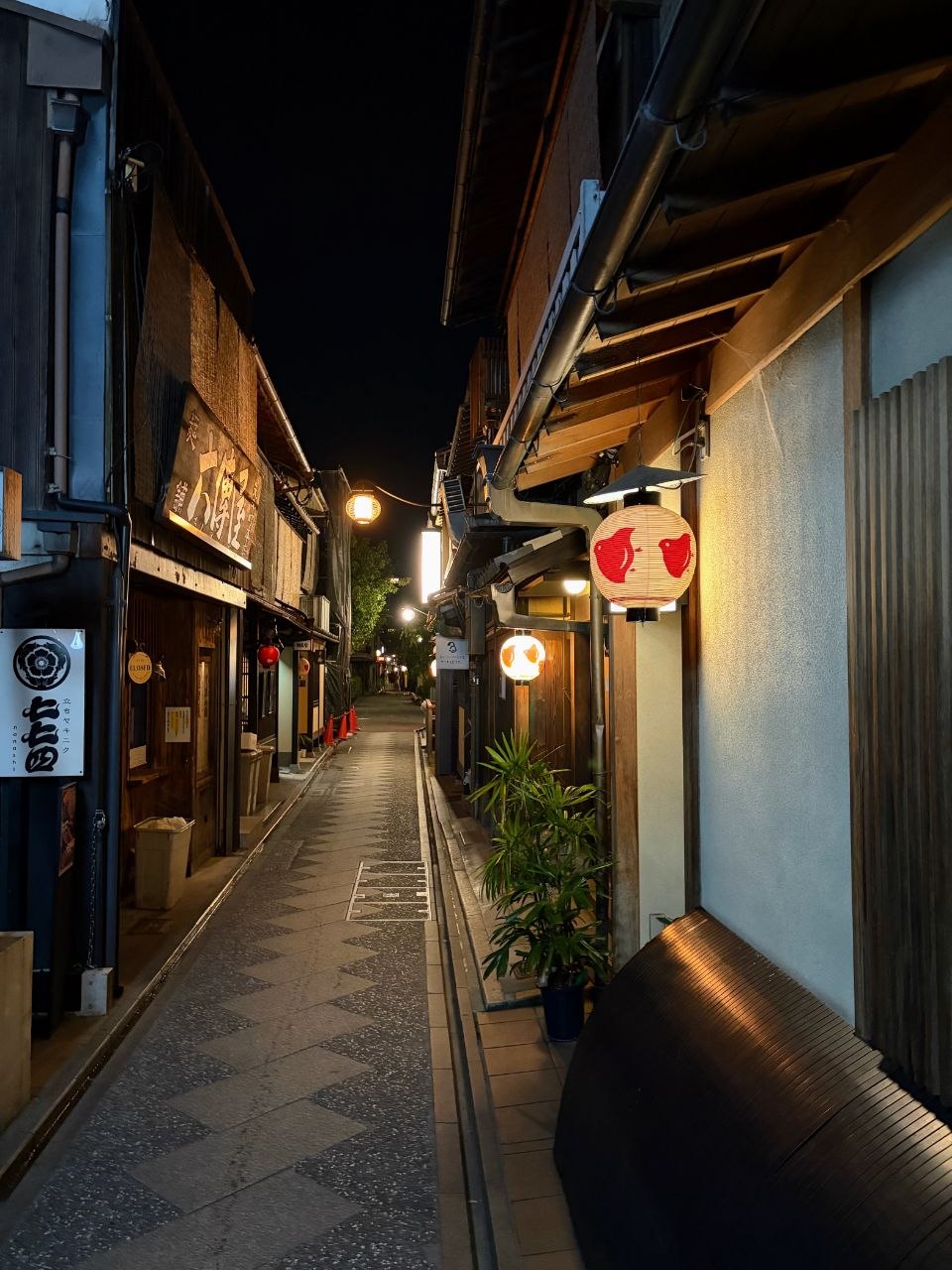 Calle estrecha de Pontocho iluminada por faroles junto a fachadas tradicionales