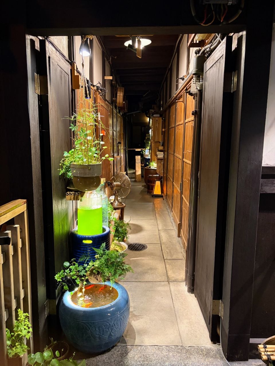 Entrada estrecha iluminada con plantas, madera y recipientes decorativos en Pontocho
