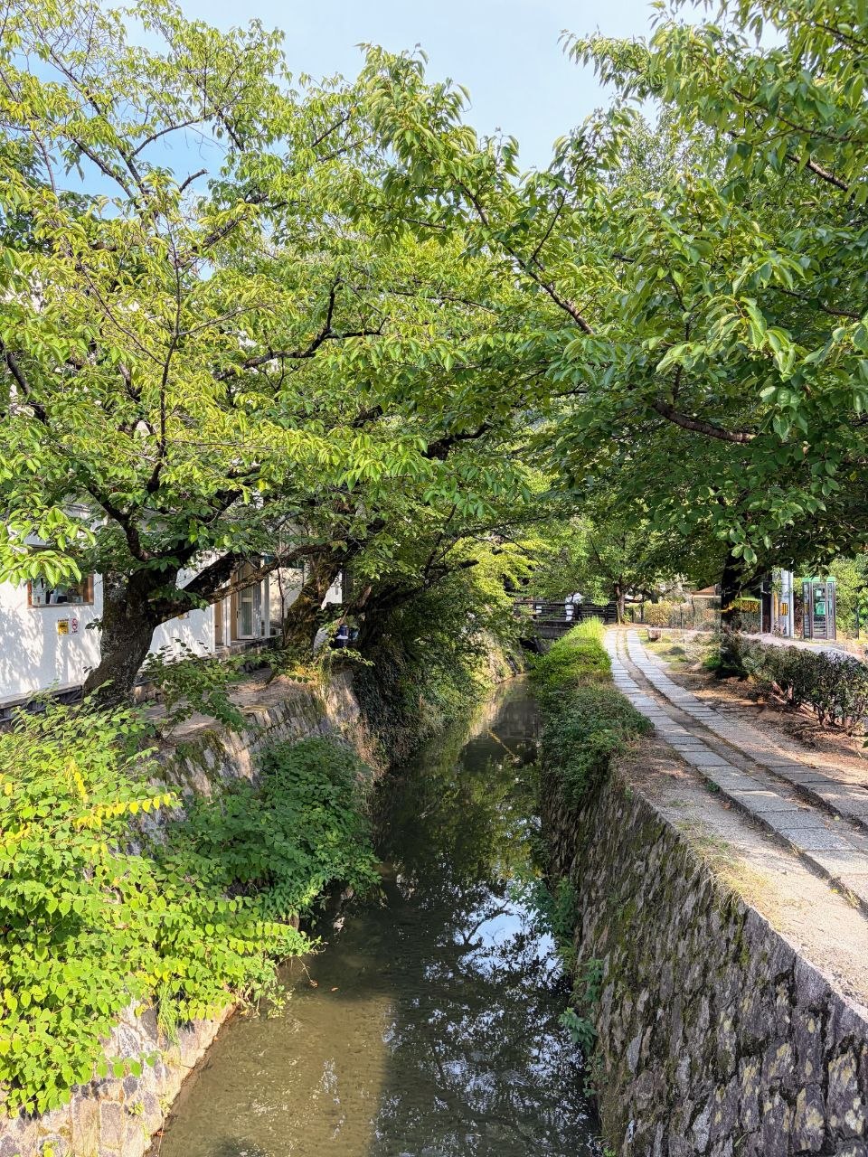 Canal arbolado del Paseo del Filosofo en Kyoto